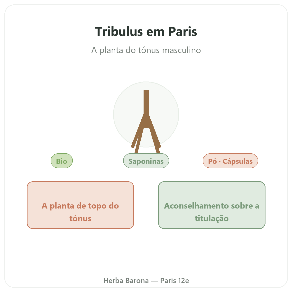 Tribulus Paris Paris - apresentação da marca na Herba Barona Paris 12e
