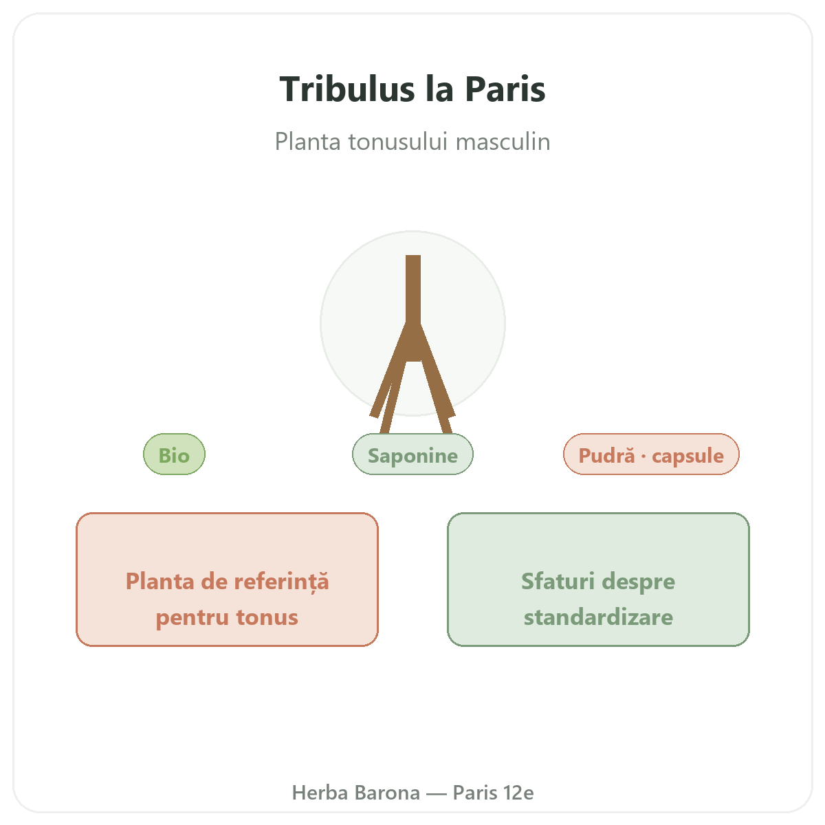 Tribulus Paris - prezentarea mărcii la Herba Barona Paris arondismentul 12