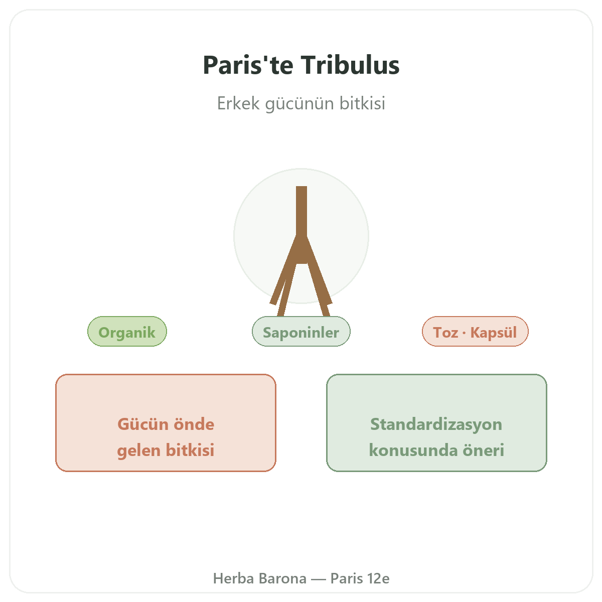 Tribulus Paris - Herba Barona Paris 12. bölgede marka tanıtımı