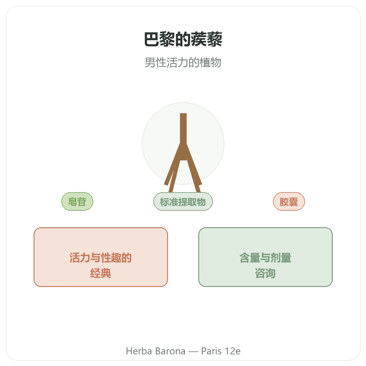 蒺藜 巴黎 - Herba Barona巴黎12区品牌介绍