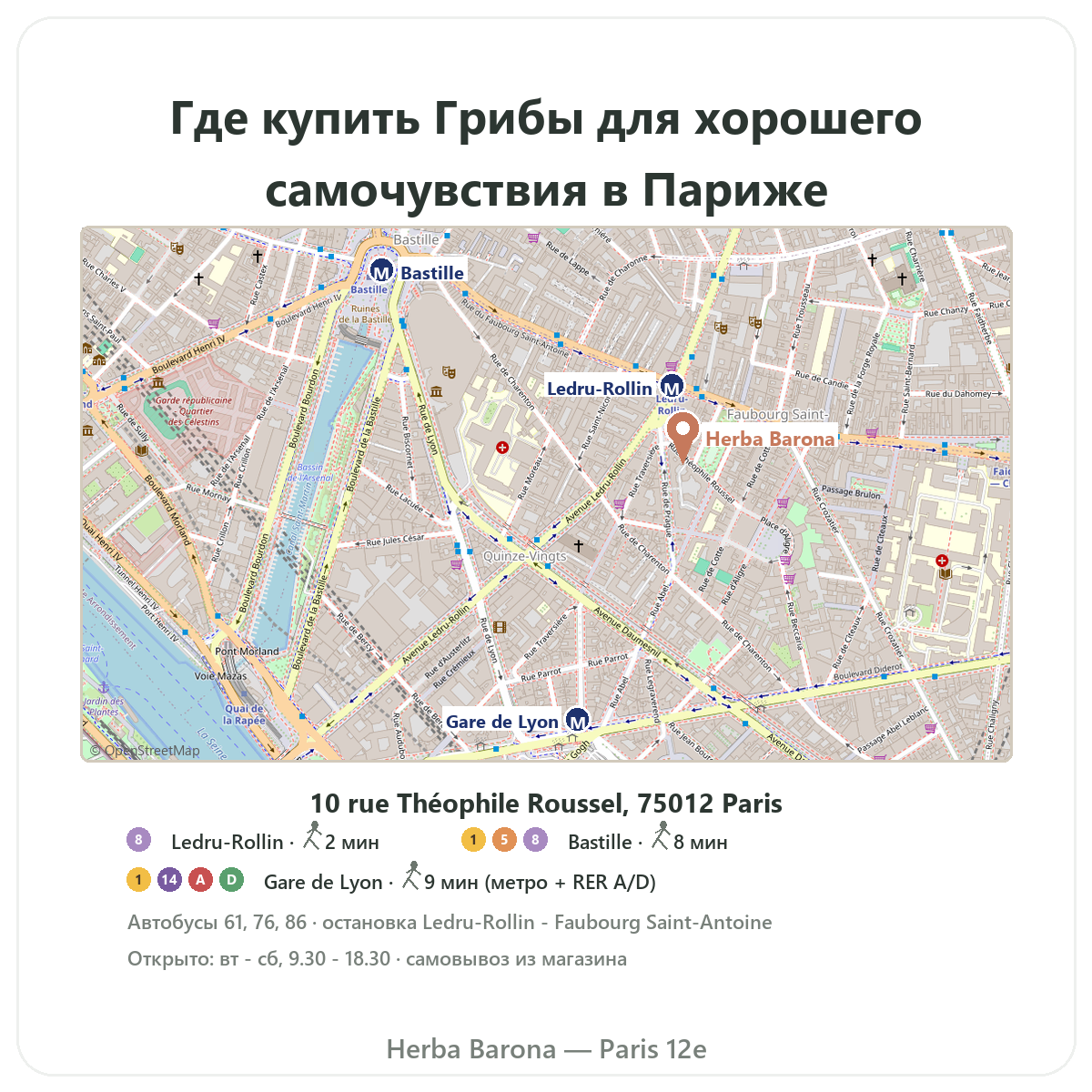 Где найти функциональные грибы в Париже — план магазина Herba Barona Париж, 12-й округ, метро Ledru-Rollin