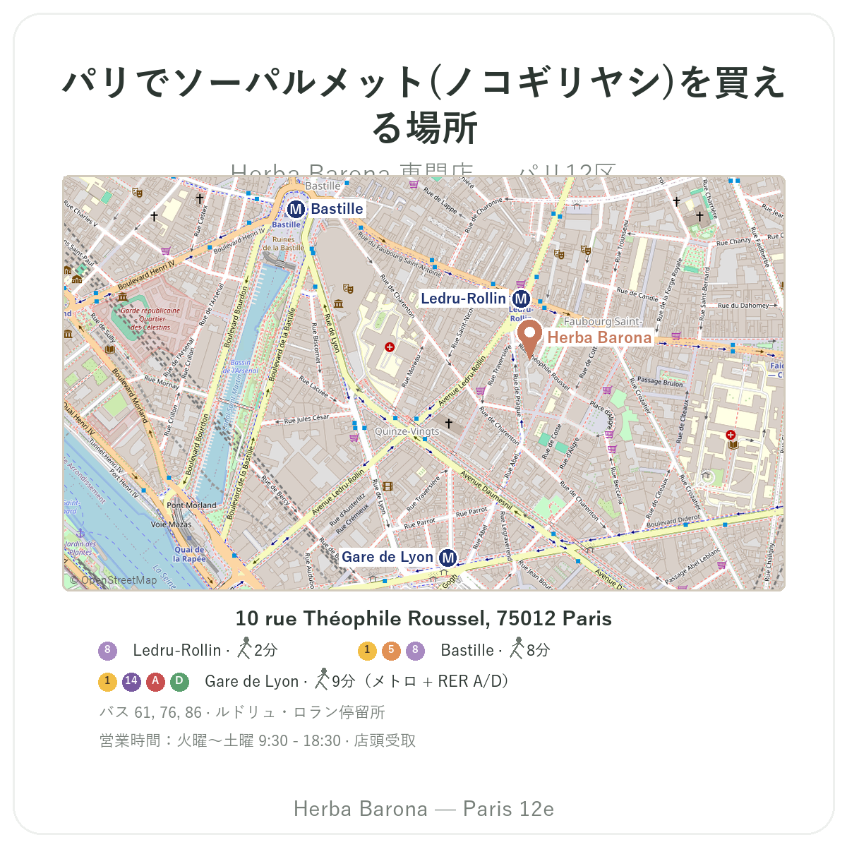 パリでソーパルメットを見つける - Herba Baronaパリ12区の店舗案内