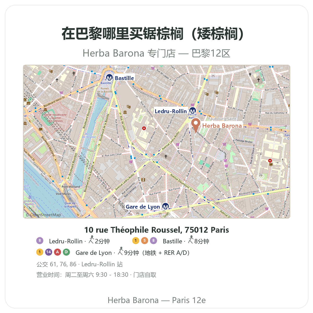 Trouver Saw Palmetto Paris a Paris - plan boutique Herba Barona Paris 12e