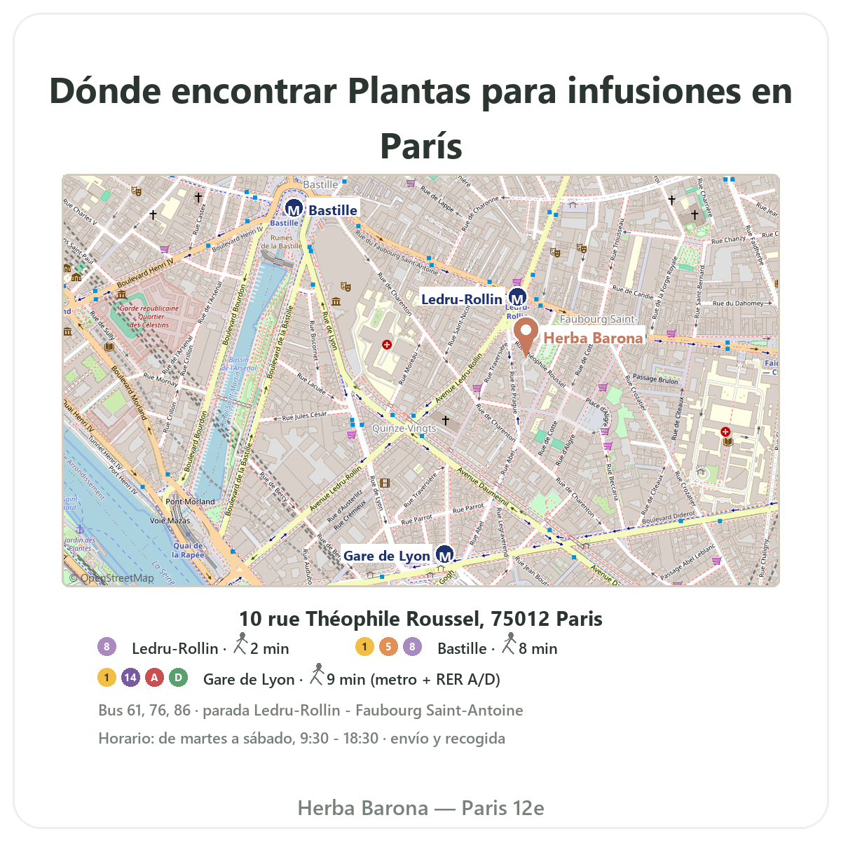 Encontrar plantas para infusiones en París - plano de la tienda Herba Barona París 12e
