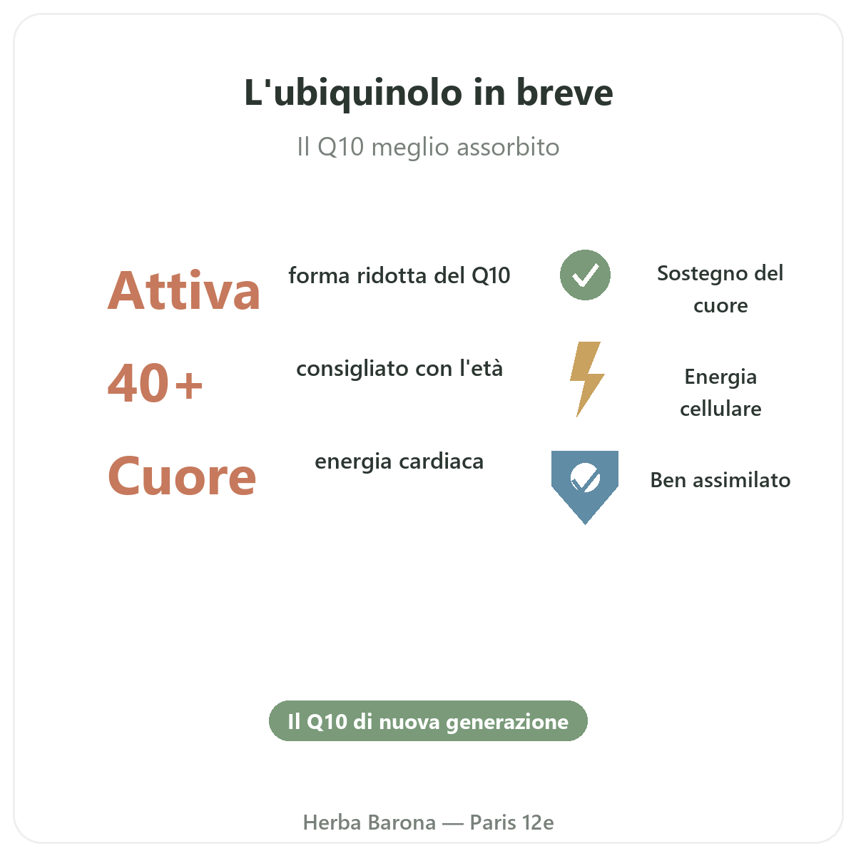 Ubiquinol Paris en bref - chiffres cles chez Herba Barona Paris 12e