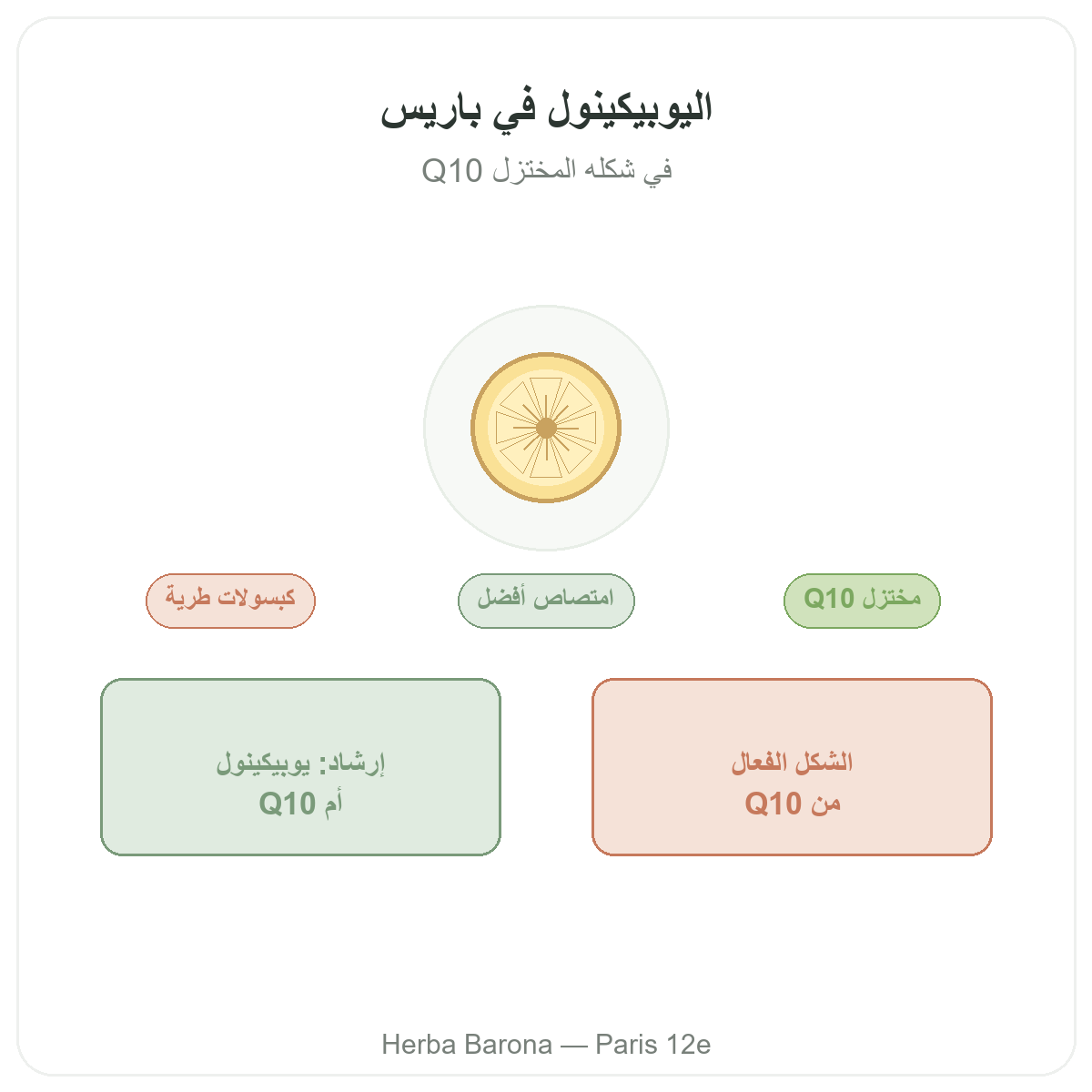 اليوبيكينول في باريس - تقديم العلامة لدى Herba Barona باريس الدائرة 12