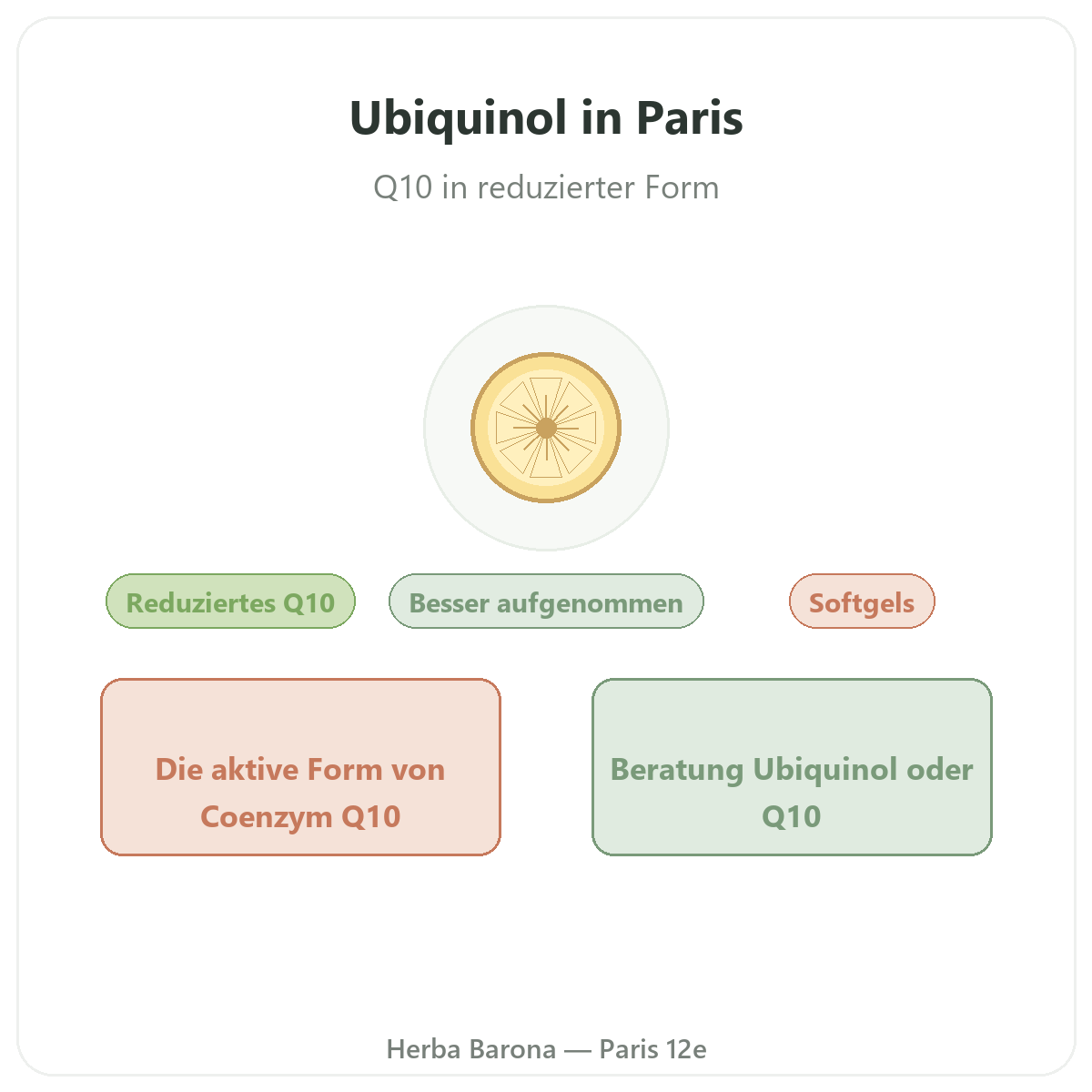 Ubiquinol Paris – Markenvorstellung bei Herba Barona Paris 12e