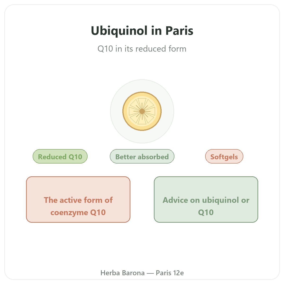 Ubiquinol Paris Paris - presentation de la marque chez Herba Barona Paris 12e