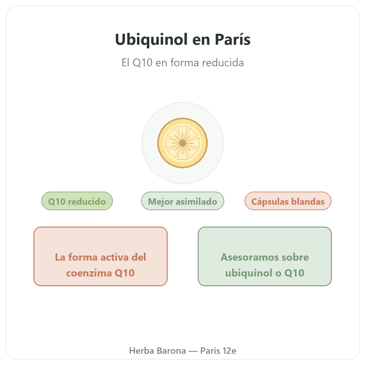 Ubiquinol París - presentación de la marca en Herba Barona París 12e