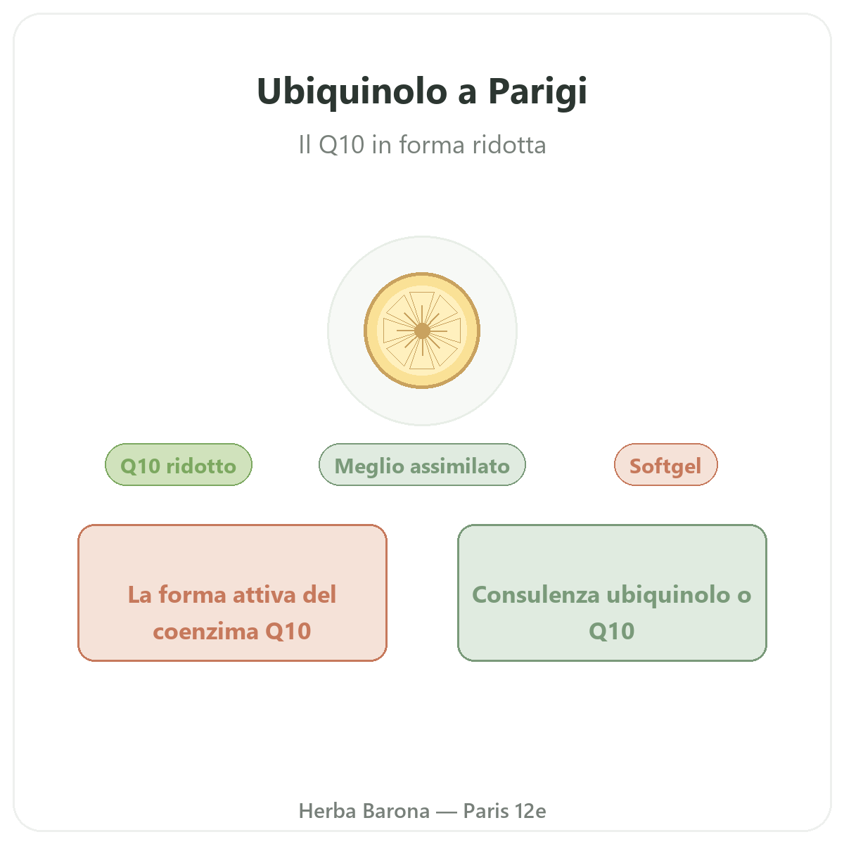 Ubiquinol Paris - presentation de la marque chez Herba Barona Paris 12e