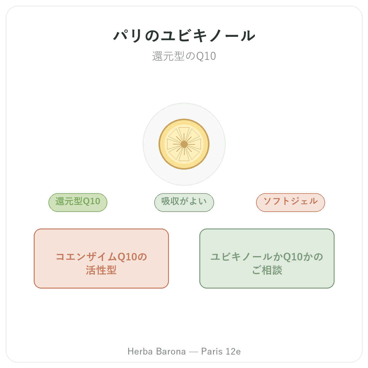 パリのユビキノール 紹介 - Herba Barona パリ12区