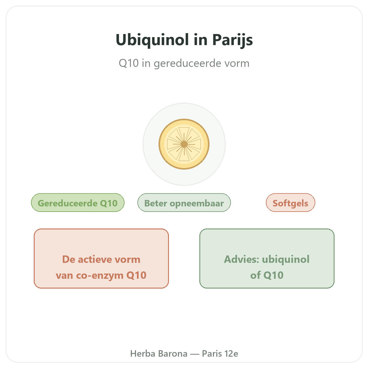 Ubiquinol Parijs - voorstelling van het merk bij Herba Barona Parijs