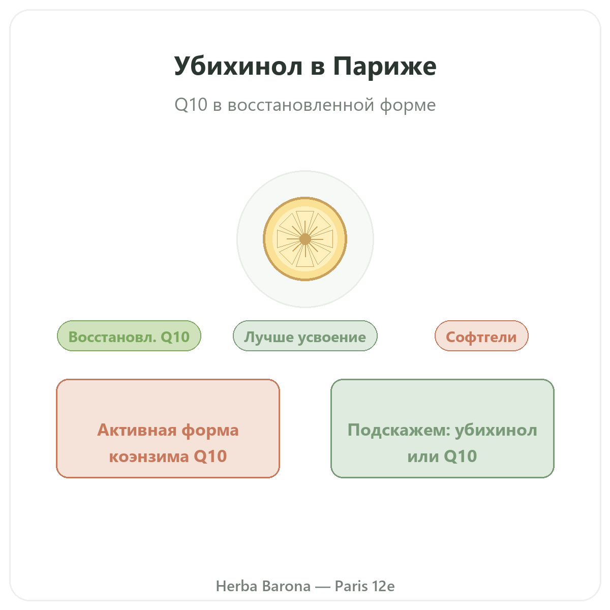 Ubiquinol Париж Париж — презентация бренда в Herba Barona Париж, 12-й округ
