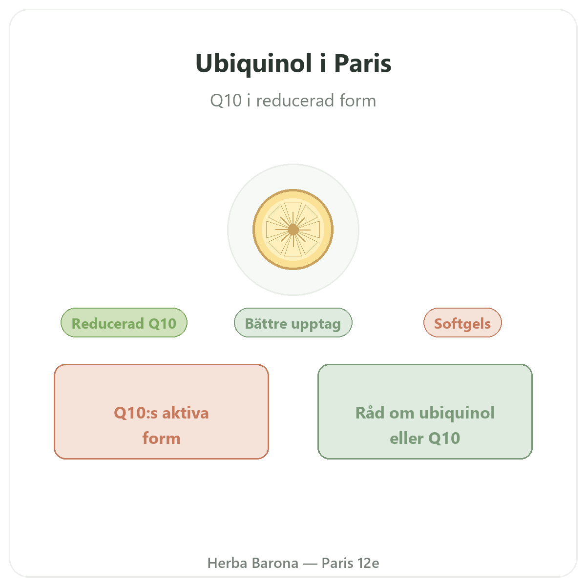 Ubikinol Paris – presentation av varumärket hos Herba Barona Paris 12e