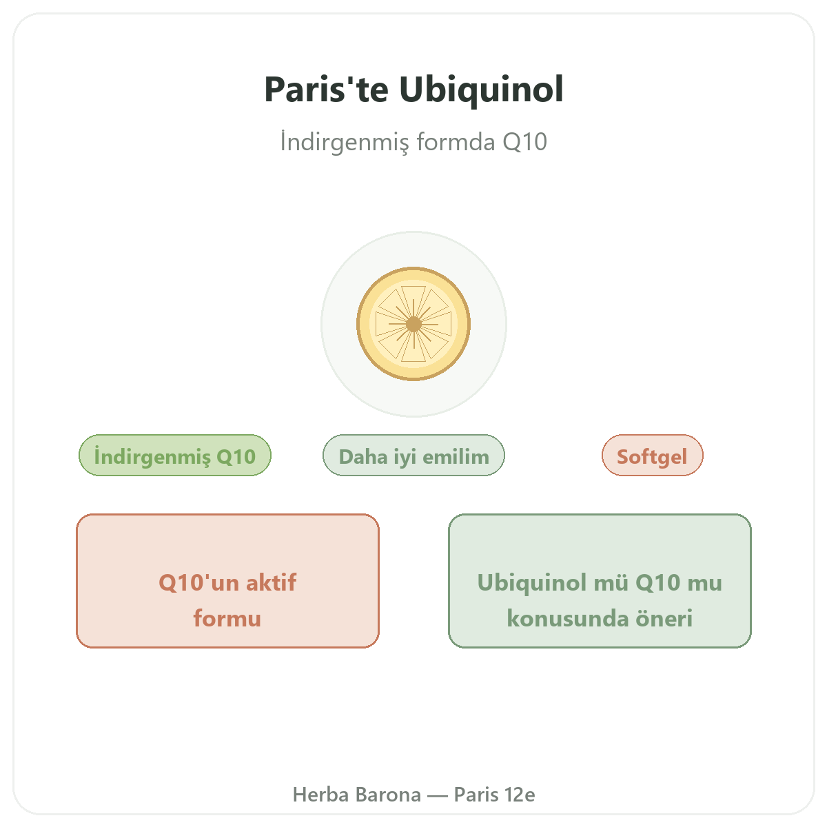 Ubikinol Paris - Herba Barona Paris 12. bölgede marka tanıtımı