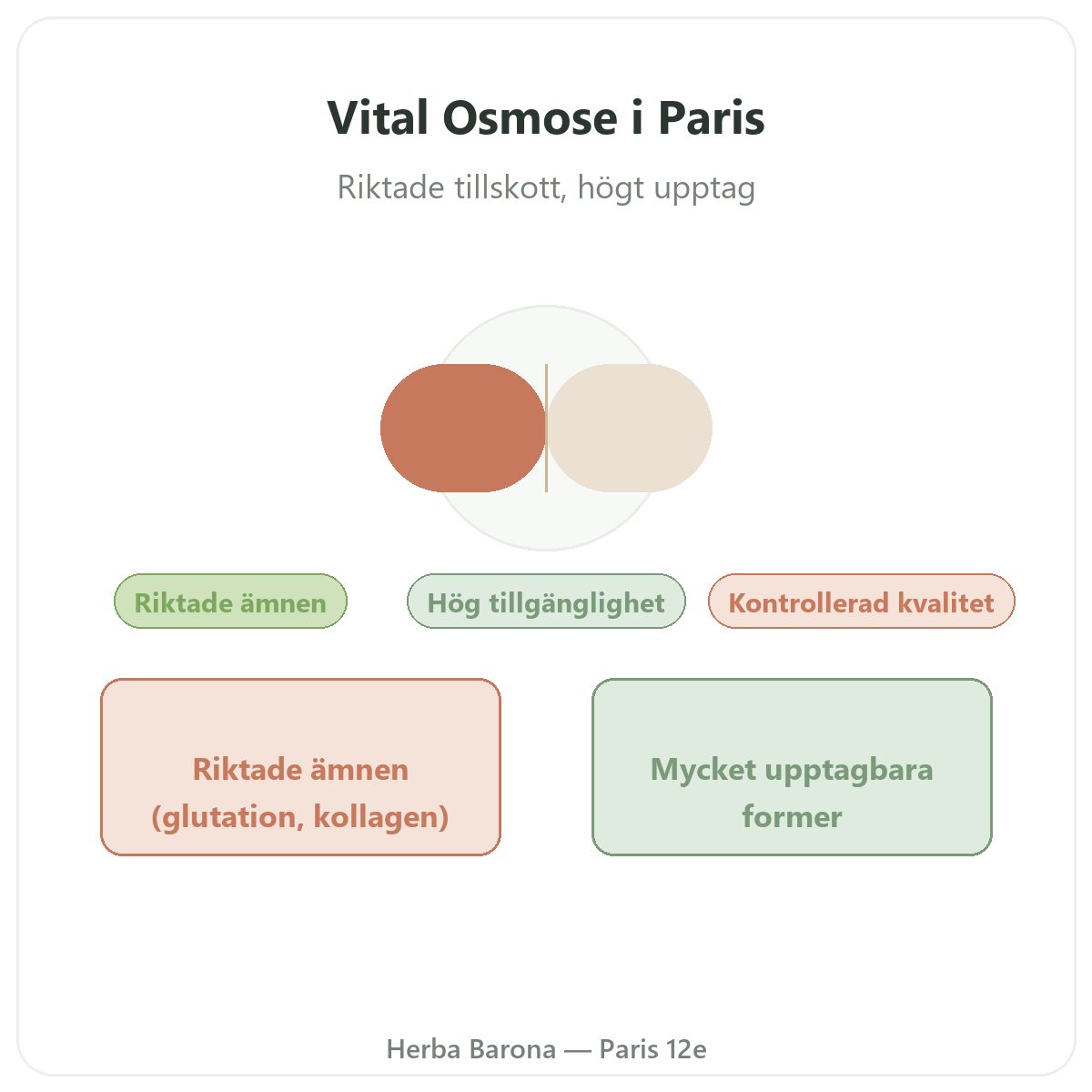 Vital Osmose Paris – presentation av varumärket hos Herba Barona Paris 12e