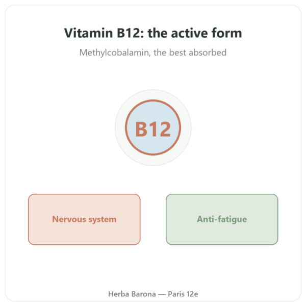 Vitamin B12 Methylcobalamin – Novoma – 120 capsules presentation Paris Herba Barona