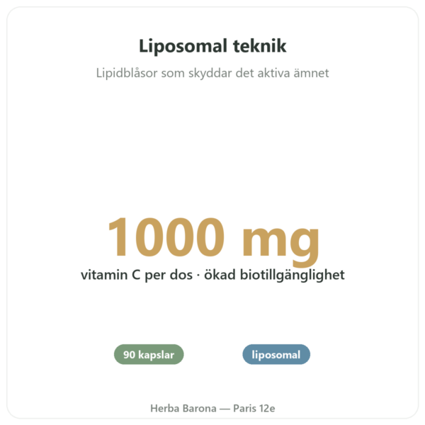 Liposomalt Vitamin C 1000 mg 90 Kapslar Novoma – Köp fördelar och nyckelfakta Paris Herba Barona