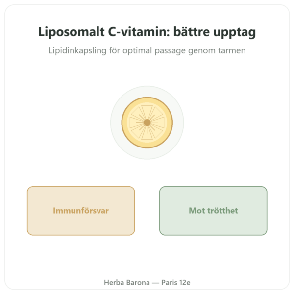 Liposomalt Vitamin C 1000 mg 90 Kapslar Novoma – Köp presentation Paris Herba Barona