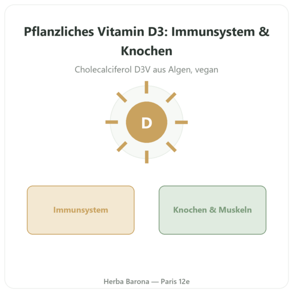 Vitamin D3 pflanzlich D3V® – Novoma – 2000 I.E. – 120 Kapseln Vorstellung Paris Herba Barona