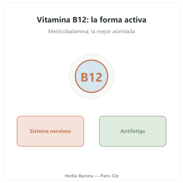 Vitamina B12 Metilcobalamina – Novoma – 120 cápsulas presentación Paris Herba Barona