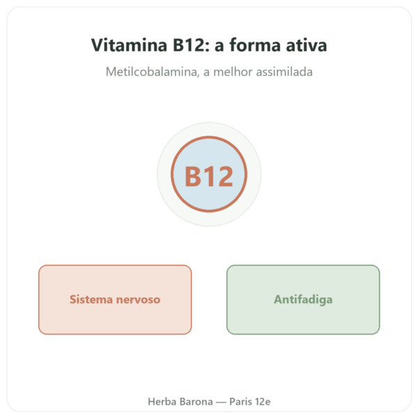 Vitamina B12 Metilcobalamina Novoma 120 cápsulas apresentação Paris Herba Barona