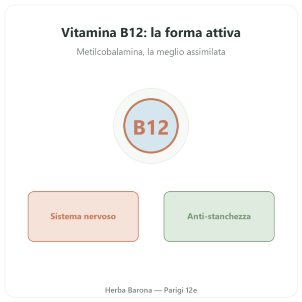 Vitamina B12 Metilcobalamina – Novoma – 120 Capsule presentazione Paris Herba Barona