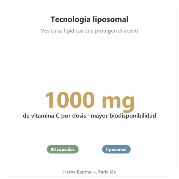 Vitamina C Liposomal 1000 mg – 90 cápsulas – Novoma beneficios y datos clave Paris Herba Barona