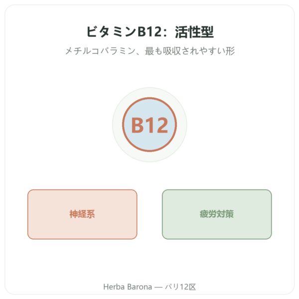 ビタミンB12 メチルコバラミン – Novoma – 120カプセル presentation Paris Herba Barona