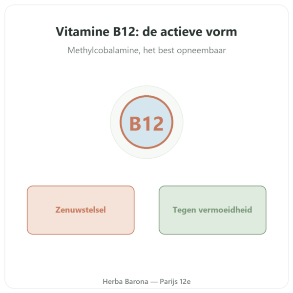Vitamine B12 Methylcobalamine 120 capsules Novoma presentatie Paris Herba Barona