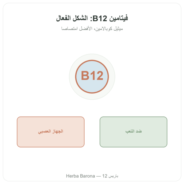 فيتامين B12 ميثيل كوبالامين – Novoma – 120 كبسولة عرض المنتج Paris Herba Barona