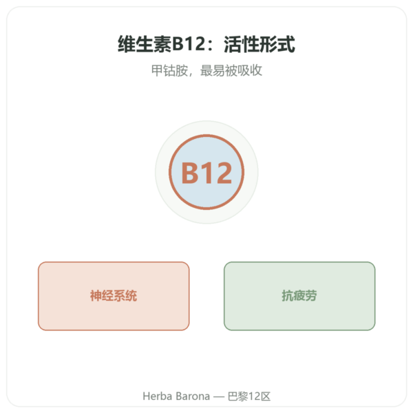 维生素 B12 甲基钴胺素 – Novoma – 120 粒胶囊 产品展示 Paris Herba Barona