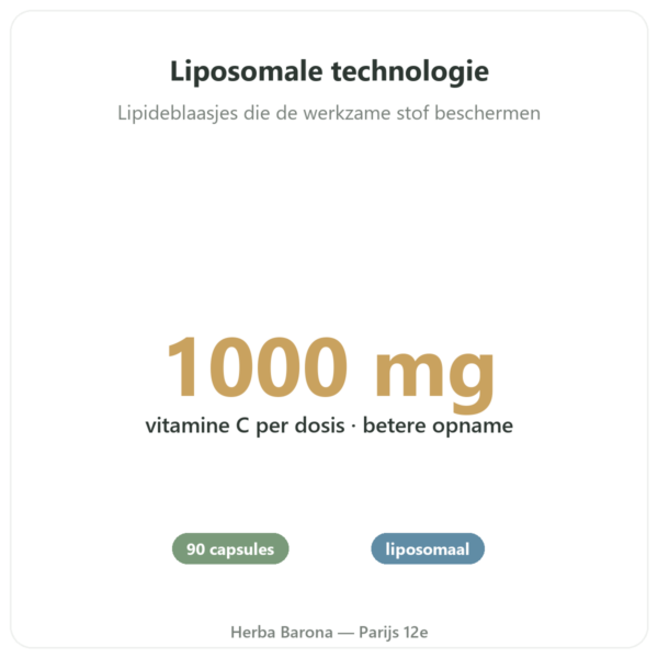 Vitamine C Liposomaal 1000 mg 90 Capsules Novoma voordelen en kerngegevens Paris Herba Barona