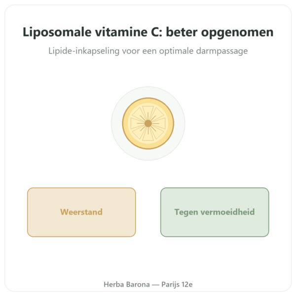 Vitamine C Liposomaal 1000 mg 90 Capsules Novoma presentatie Paris Herba Barona