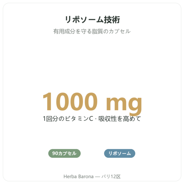 リポソーム型ビタミンC 1000 mg 90カプセル Novoma – ご購入 benefits and key facts Paris Herba Barona