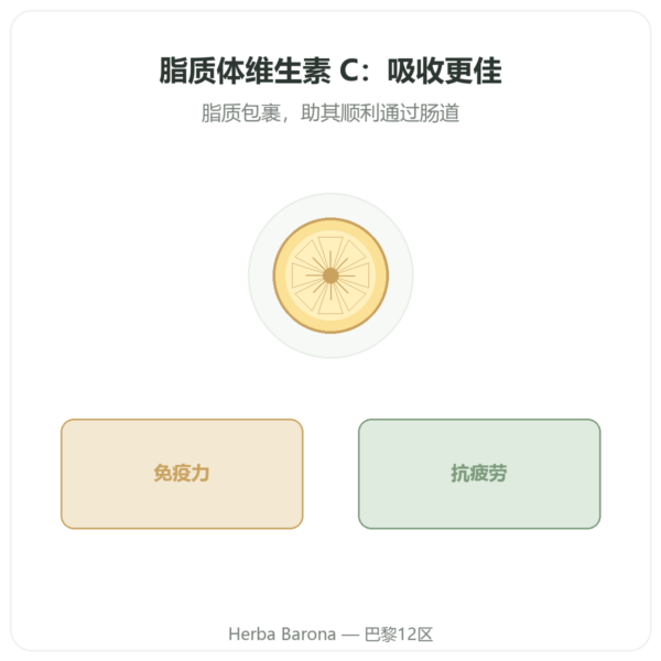 脂质体维生素 C 1000 mg 90 粒胶囊 Novoma - 购买 产品展示 Paris Herba Barona