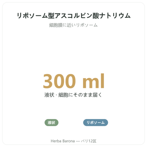 リポソーム ビタミンC リキッド – Novoma – 300ml benefits and key facts Paris Herba Barona