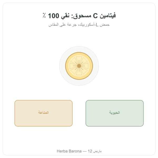 فيتامين C بودرة 500غ – Novoma عرض المنتج Paris Herba Barona