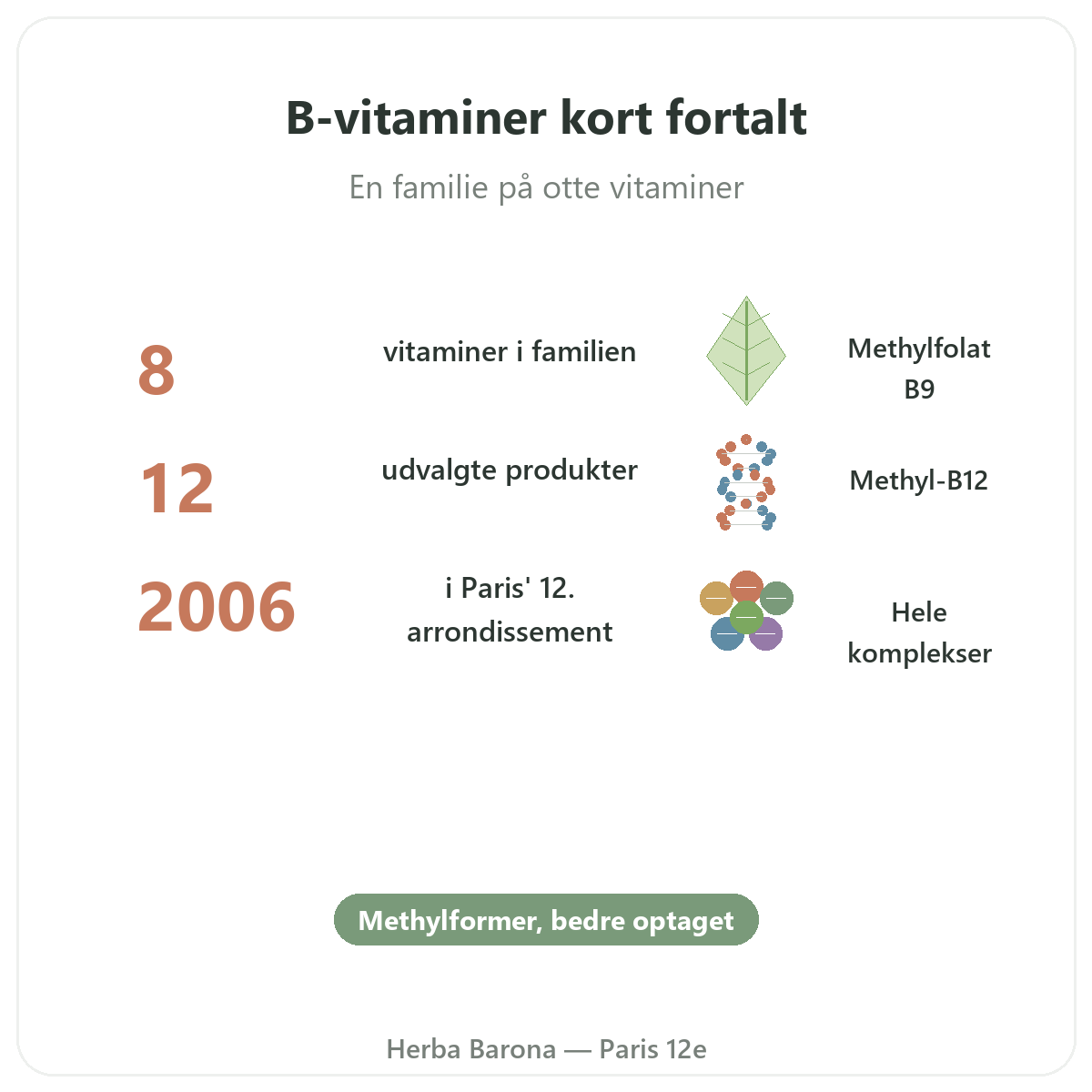 B-vitaminer kort fortalt - nøgletal hos Herba Barona Paris 12