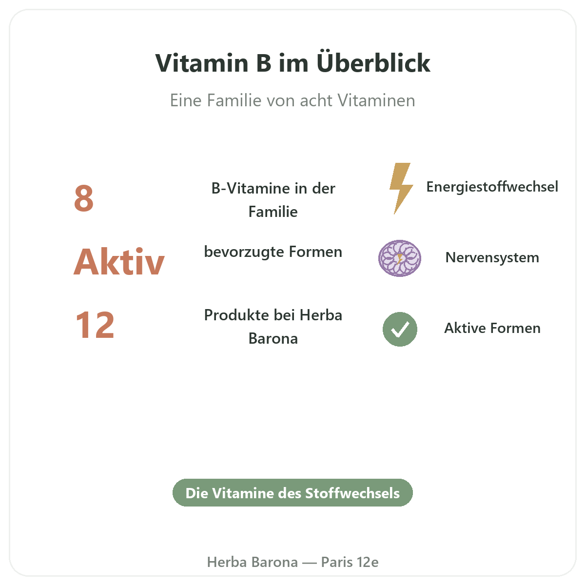 B-Vitamine im Überblick - wichtige Zahlen bei Herba Barona Paris 12e