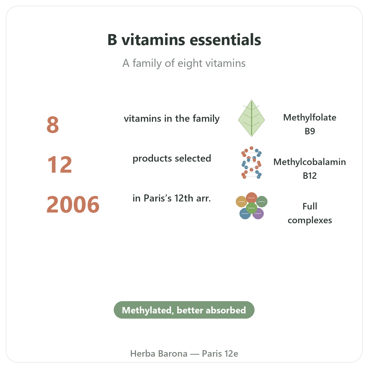 B Vitamins at a glance - key figures at Herba Barona Paris 12th