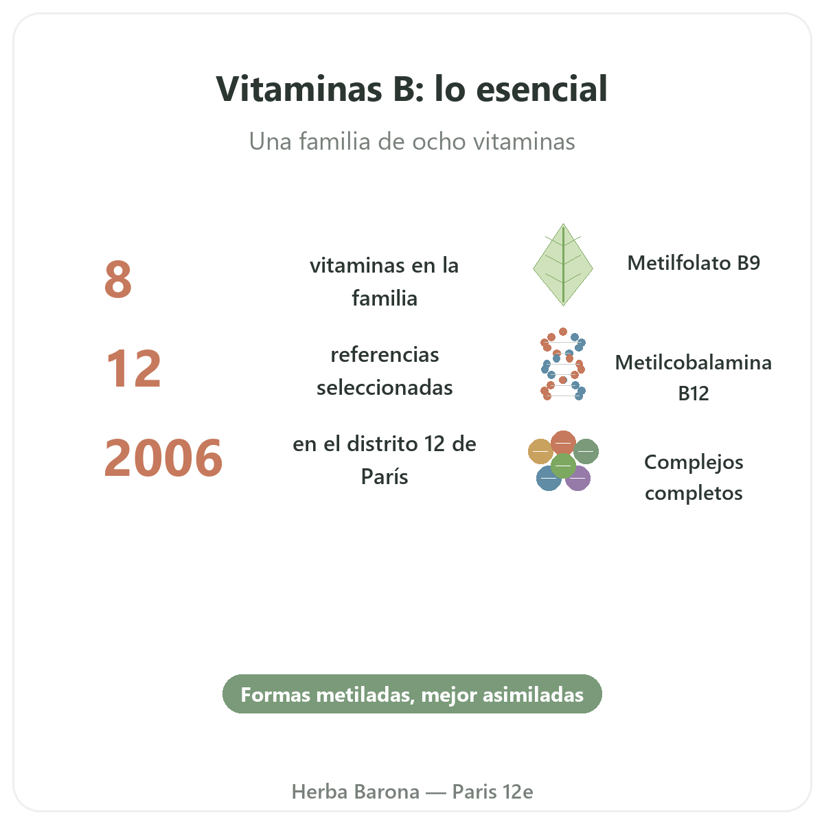 Vitaminas B en breve - cifras clave en Herba Barona Paris 12e