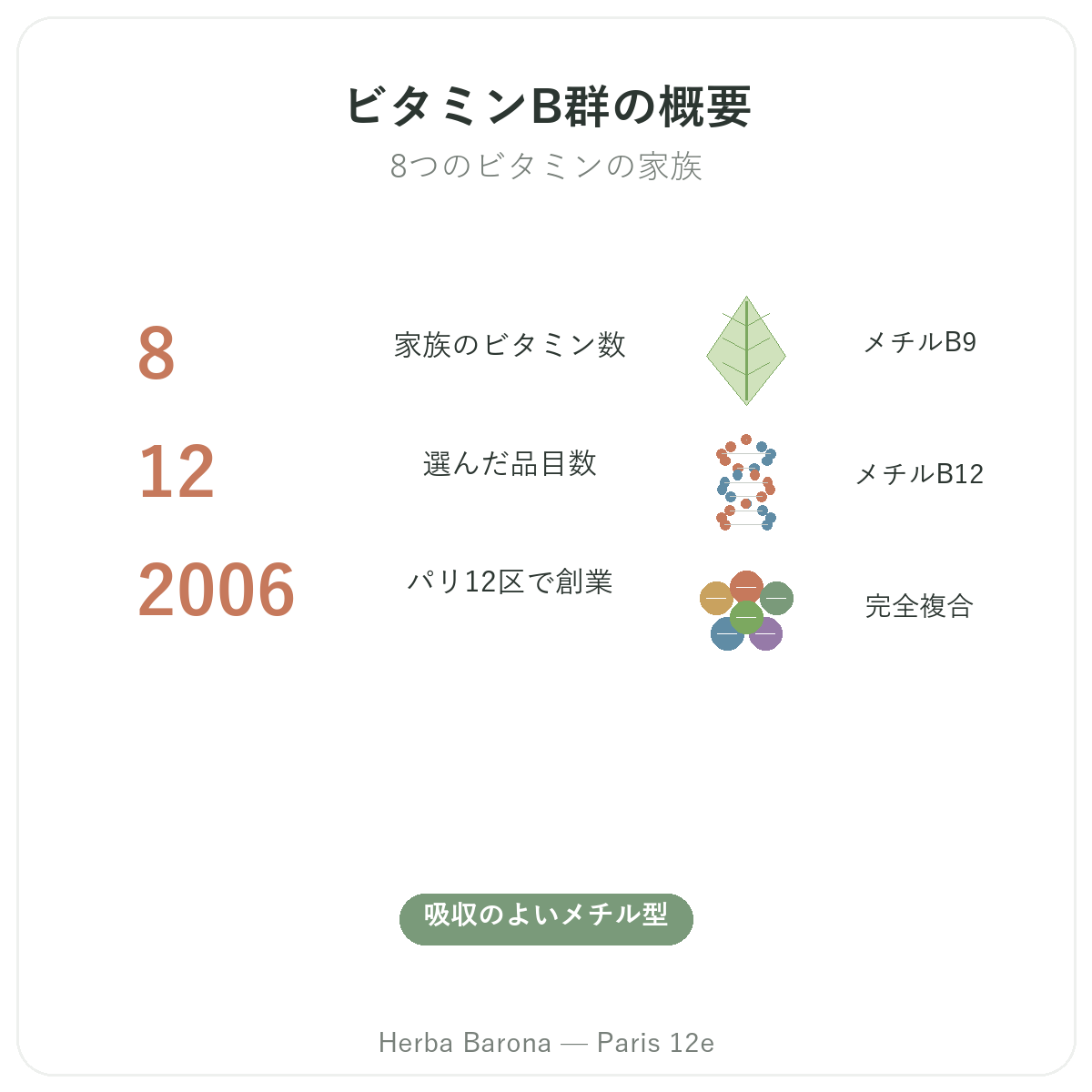 ビタミンB早わかり - Herba Barona パリ12区の主要データ