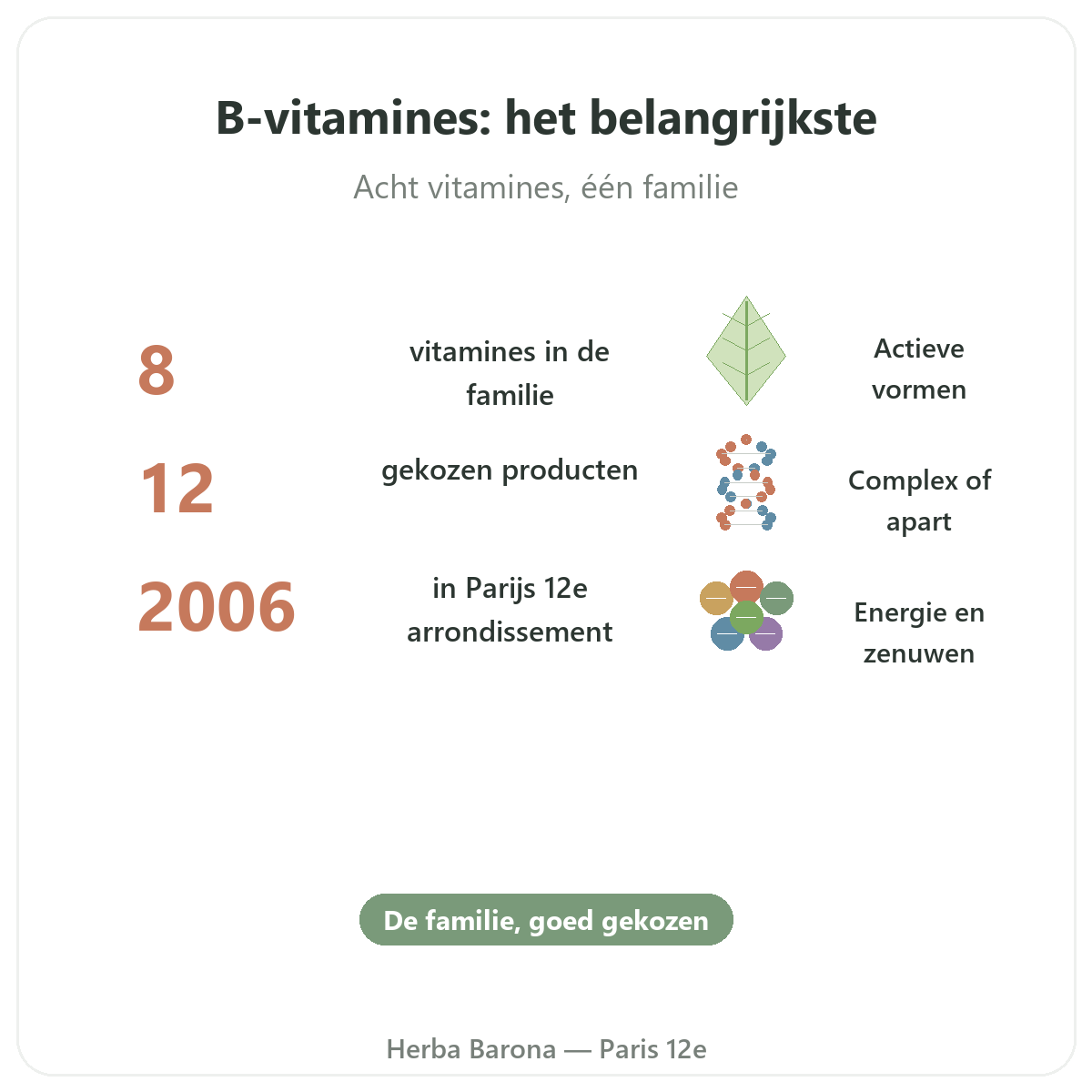 Vitamines B en bref - chiffres cles chez Herba Barona Paris 12e