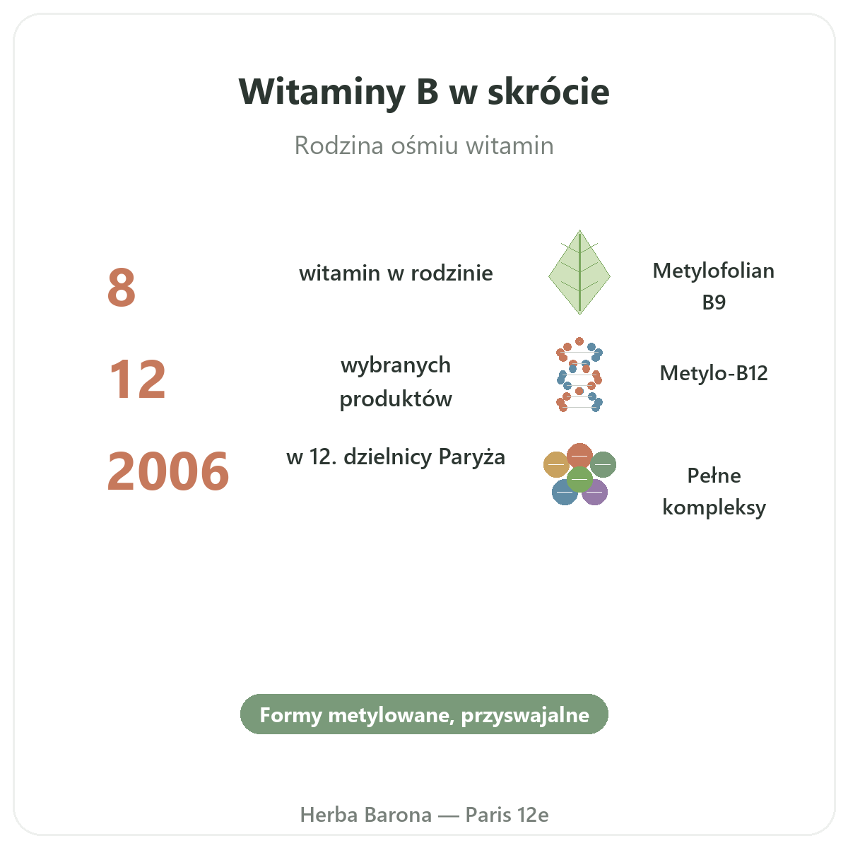 Vitamines B en bref - chiffres cles chez Herba Barona Paris 12e