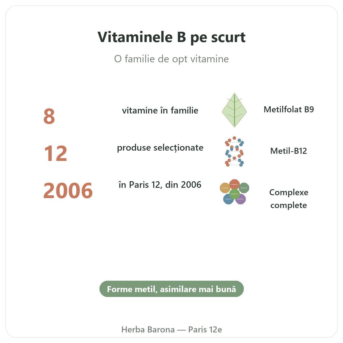 Vitamina B pe scurt - cifre cheie la Herba Barona Paris, arondismentul 12