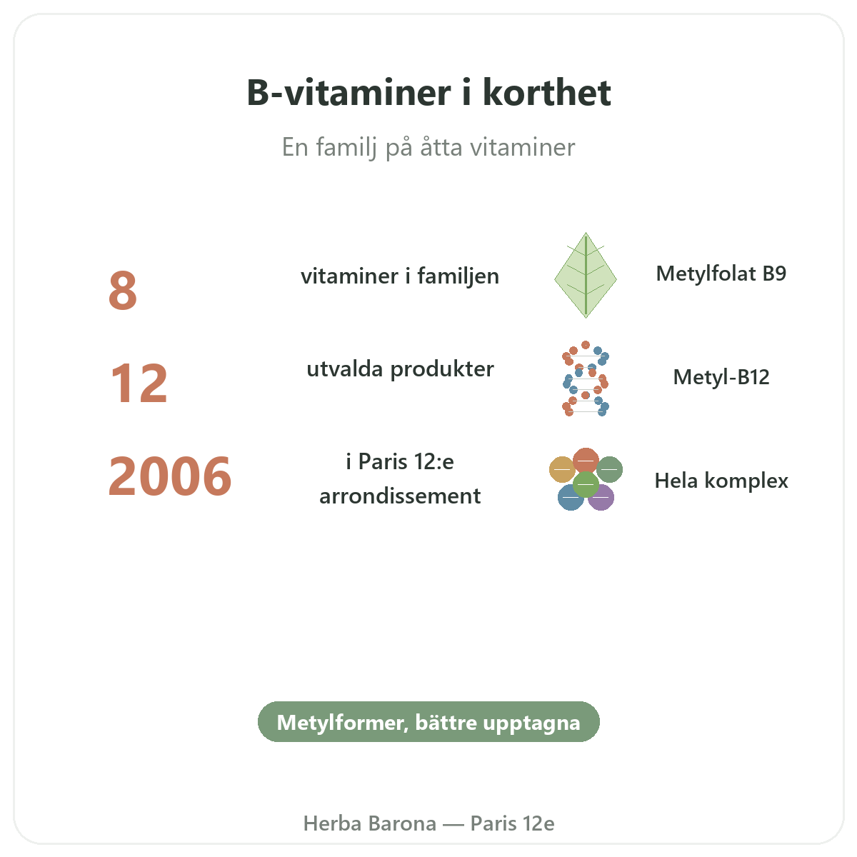B-vitaminer i korthet – nyckeltal hos Herba Barona Paris 12e