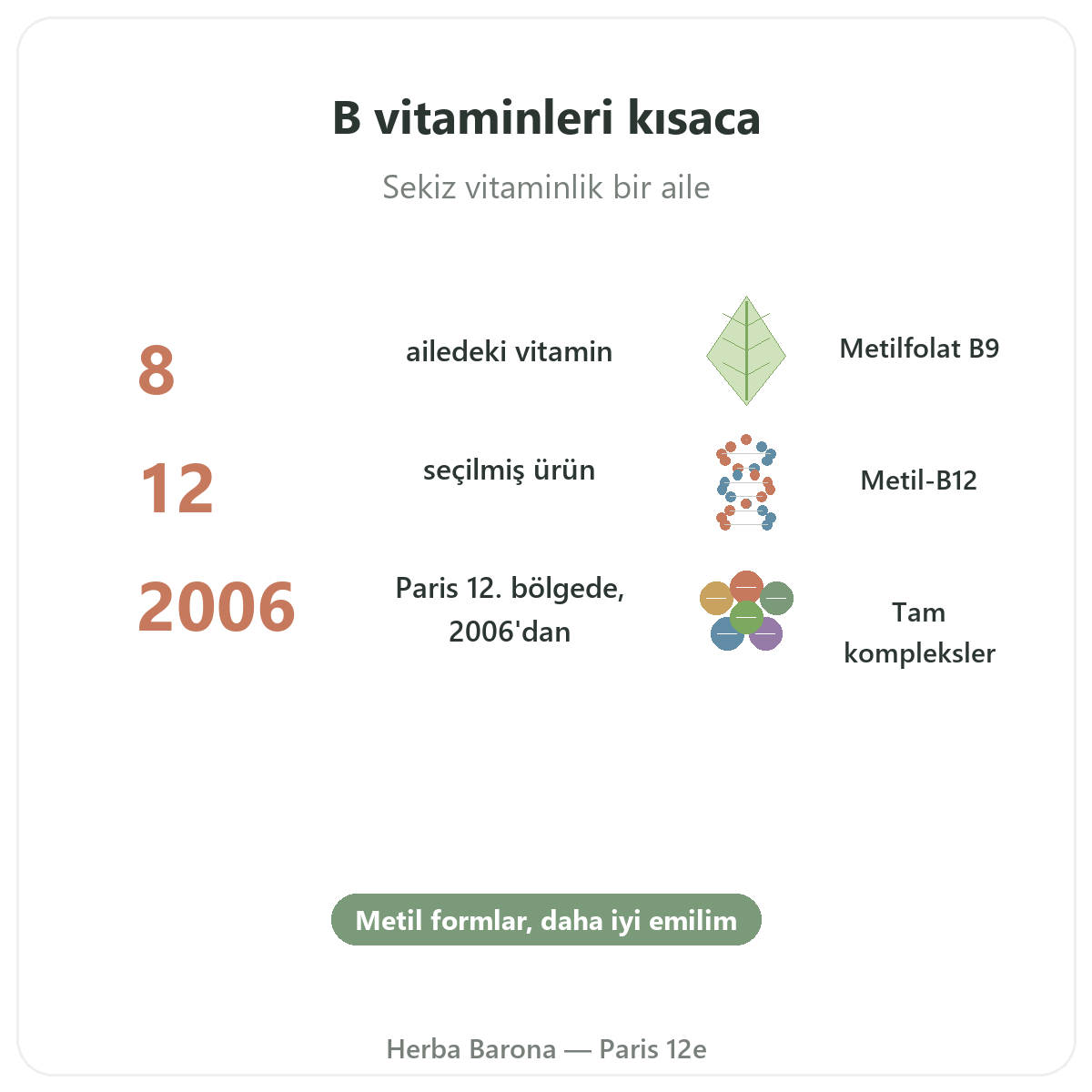 B Vitaminleri özet - Herba Barona Paris 12. bölge önemli rakamlar