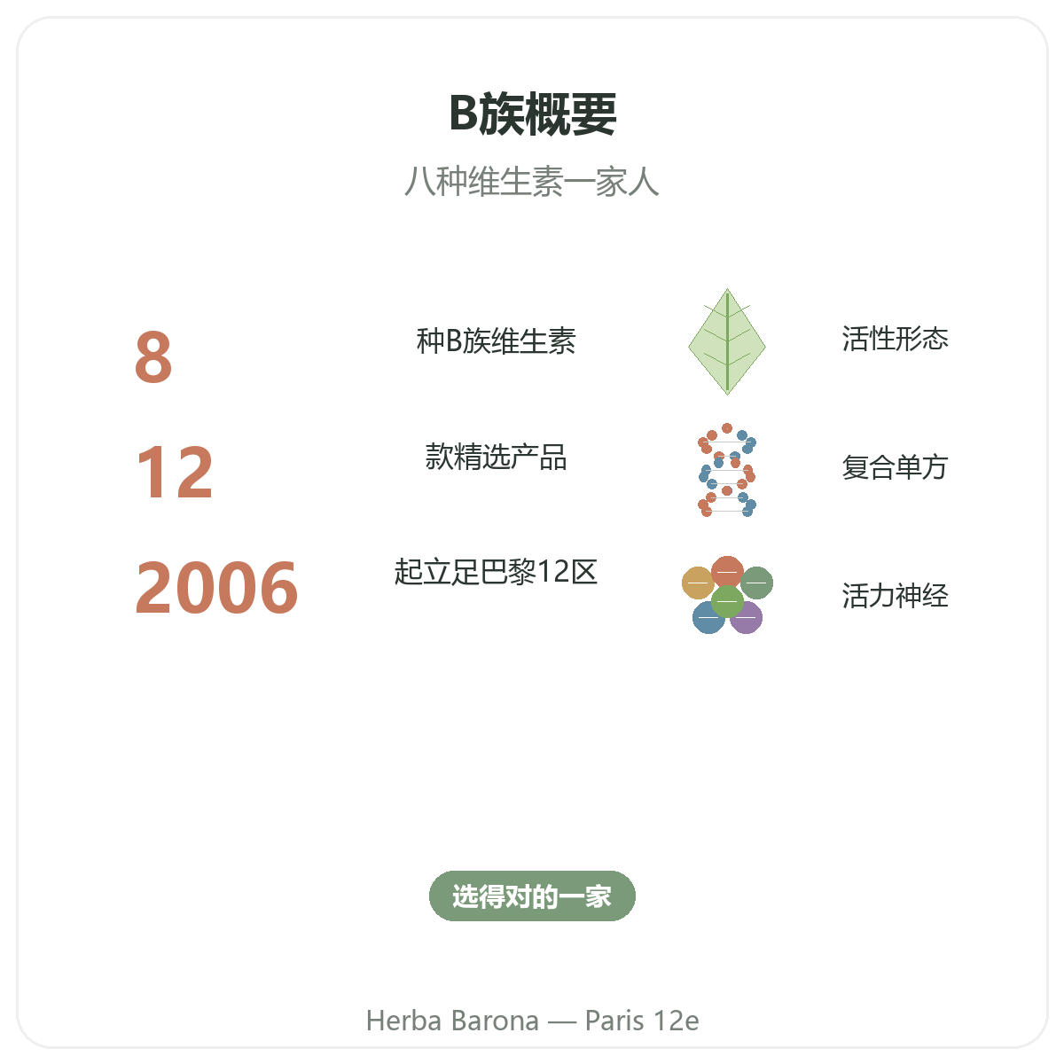 维生素B族概览 - Herba Barona巴黎12区核心数据