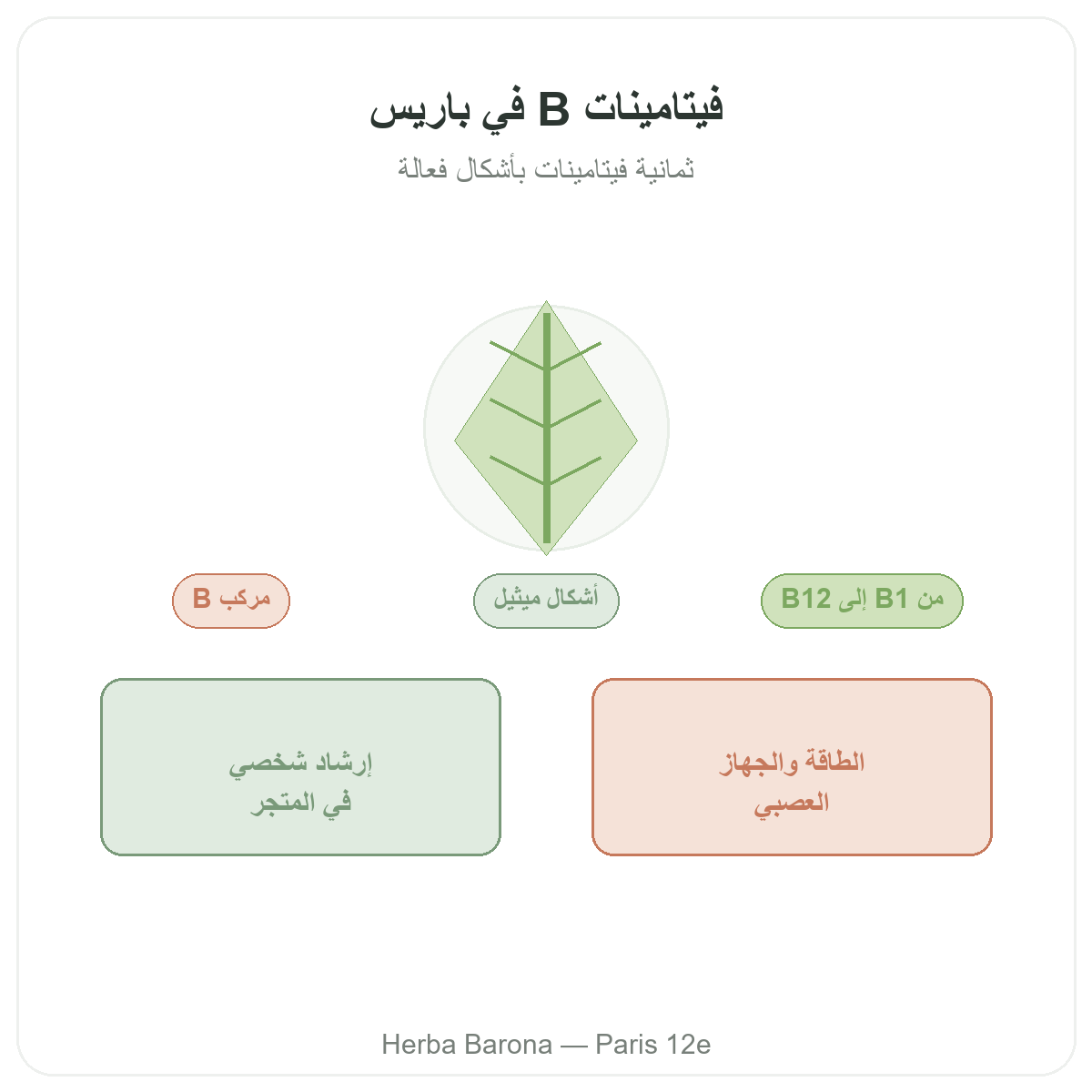 Vitamines B a Paris - chez Herba Barona Paris 12e